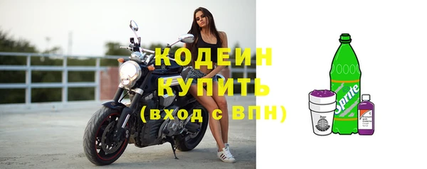 шишки Семёнов