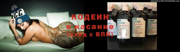 шишки Семёнов