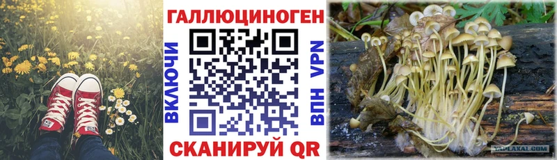 Псилоцибиновые грибы мицелий  Купить где  Кстово 
